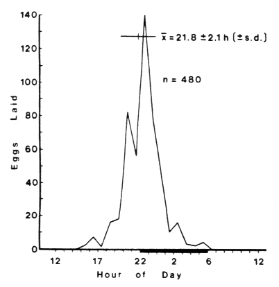 Total eggs laid/h by Turnip moth