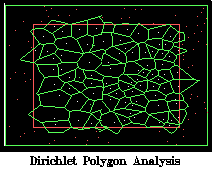 Dirichlet Polygon Analysis
