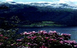 LOGO.SYS opening for Windows 95