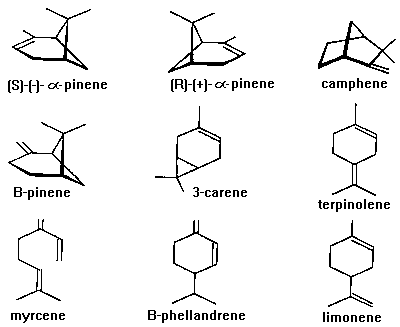 5.1.2B Sensory responses to chemicals