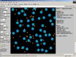 Model in Java of mating disruption or mass trapping with competitive attraction and camouflage