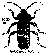 Hylotrupes bajulus
