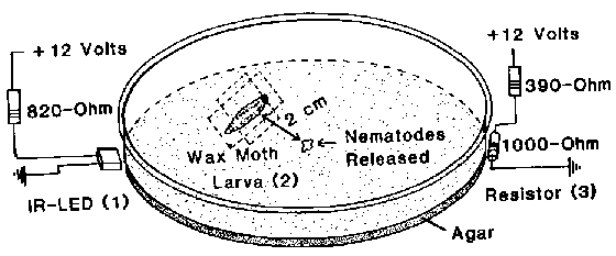Fig. 1 - test arena